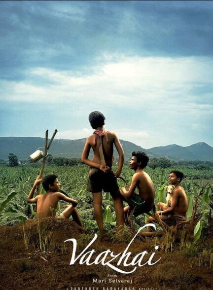 فیلم درخت موز