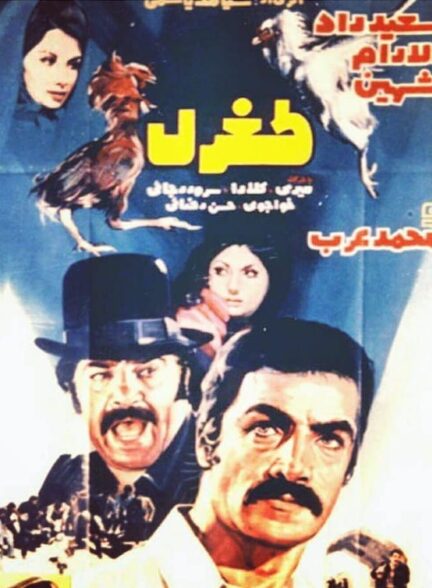 طغرل