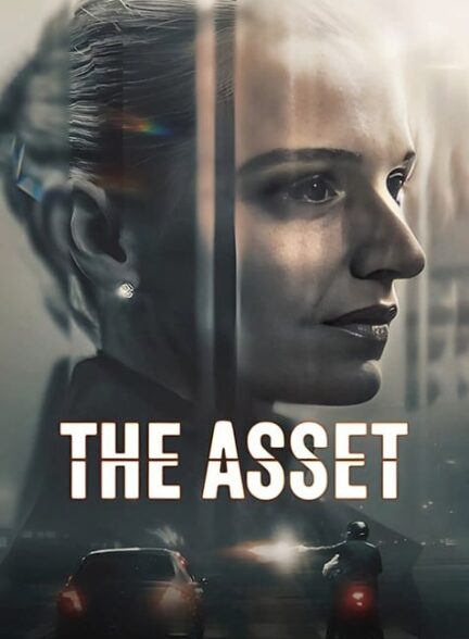 The Asset